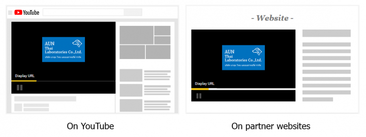 TrueView Discovery Ads